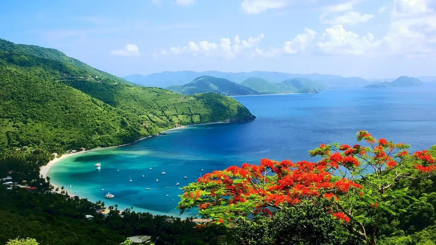 自动化高效节能